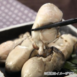 広島県産 ふっくら蒸し牡蠣 Ｍサイズ