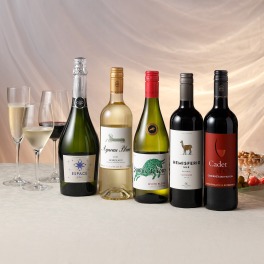エノテカ厳選 赤白スパークリングワイン ５種バラエティセット