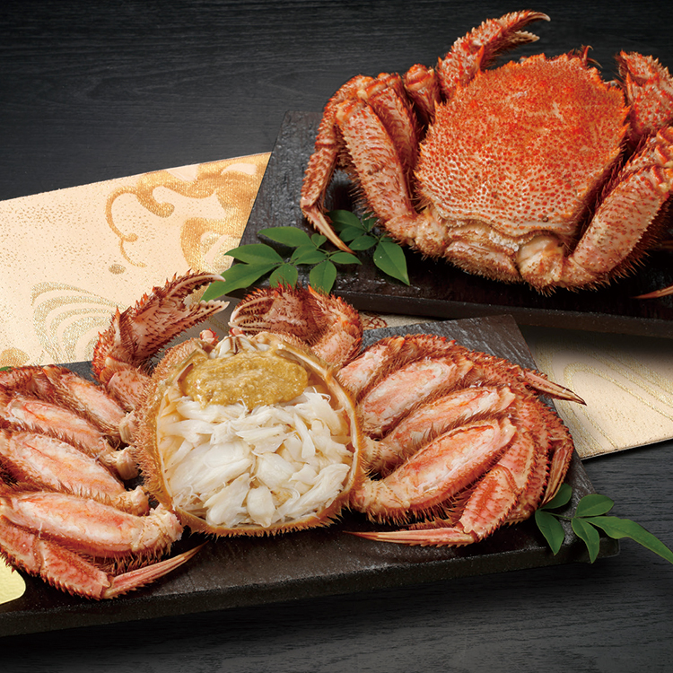 通販・テレビショッピングのショップチャンネル