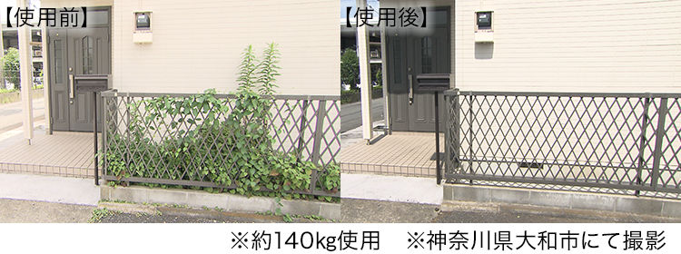 約140㎏使用　神奈川県大和市にて撮影