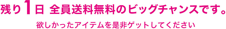 残り1日 全員送料無料のビッグチャンスです。欲しかったアイテムを是非ゲットしてください