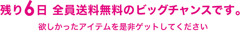 残り6日 全員送料無料のビッグチャンスです。欲しかったアイテムを是非ゲットしてください