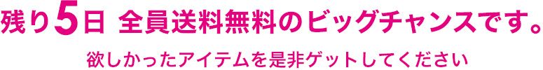 残り5日 全員送料無料のビッグチャンスです。欲しかったアイテムを是非ゲットしてください