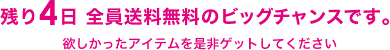 残り4日 全員送料無料のビッグチャンスです。欲しかったアイテムを是非ゲットしてください