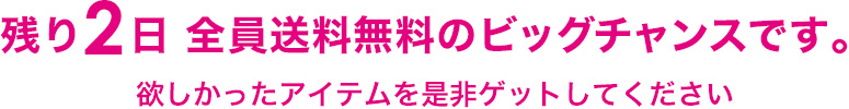 残り2日 全員送料無料のビッグチャンスです。欲しかったアイテムを是非ゲットしてください