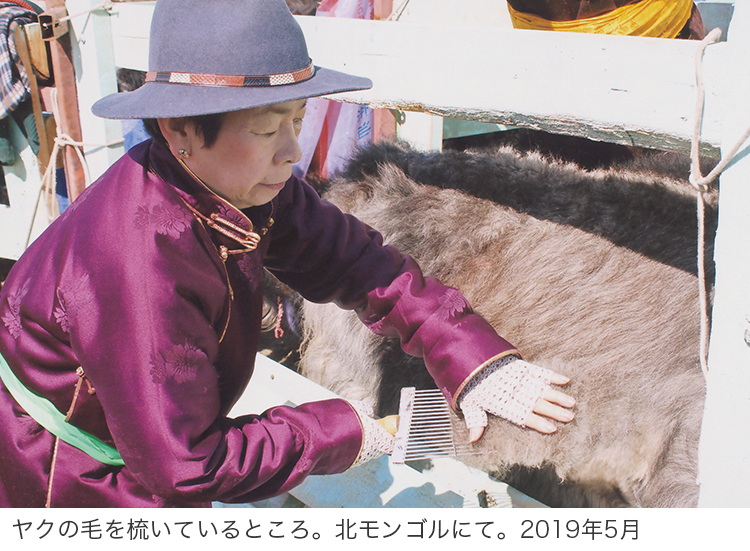 通販 テレビショッピングのショップチャンネル