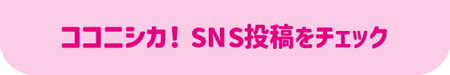 ココニシカ！SNS投稿をチェック