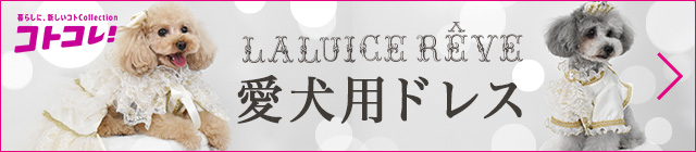 RgRIphX̎󒍉@CX[@fr[