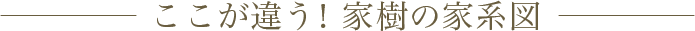 ここが違う!家樹の家系図