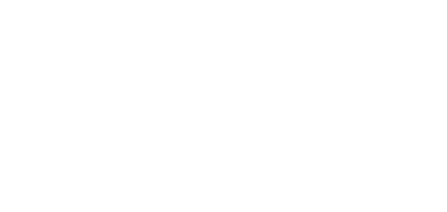 圧巻の美しさ 家宝と呼ぶに相応しき伝統工芸品　日本の職人の超絶技巧による高級感。他ではなかなか見られない技術による立体感と迫力をお楽しみいただけます。