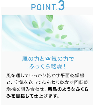 POINT.3
