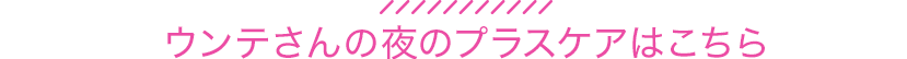 ウンテさんの夜のプラスケアはこちら