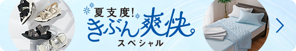 モリリン あったかふわもち♪ ほこりが出にくい カーボンホット 掛け