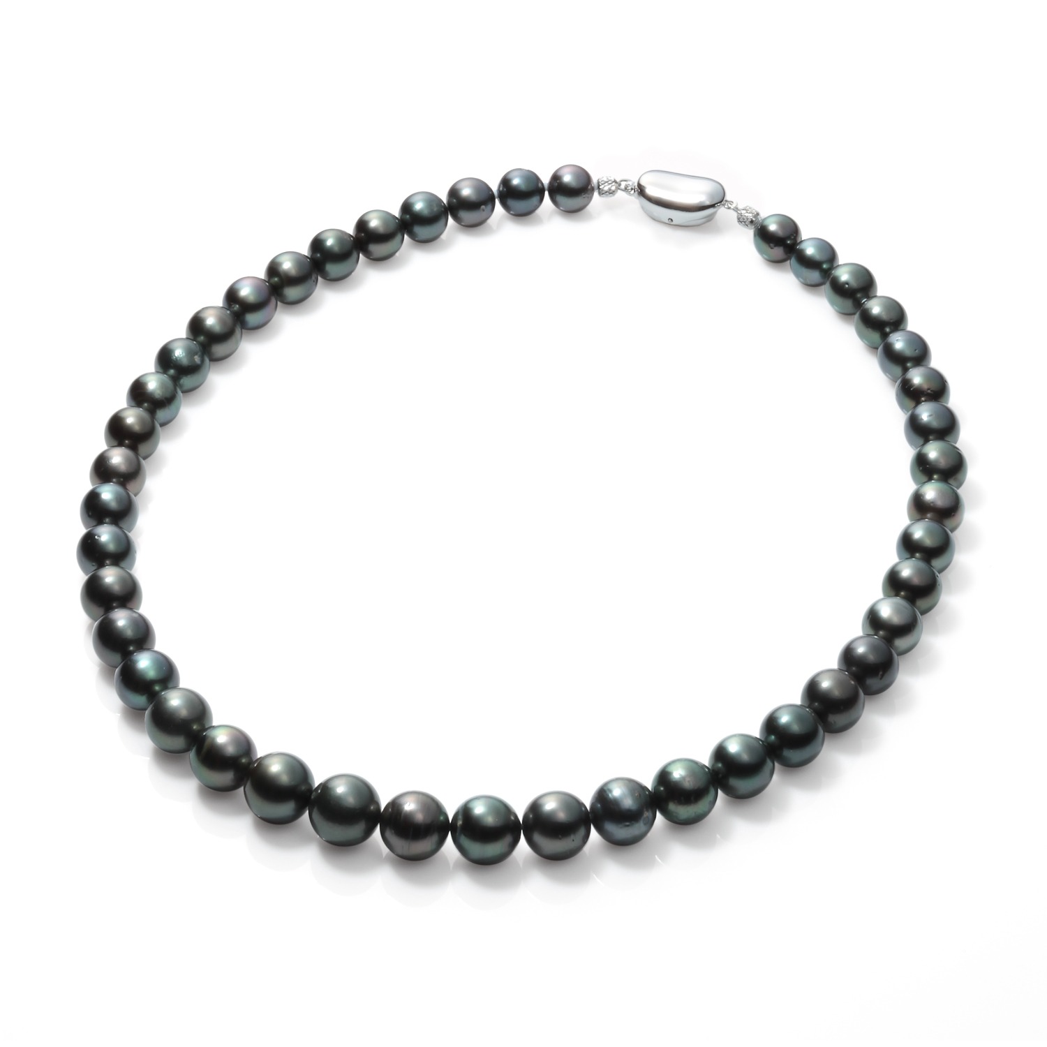 パルミナーレ
シルバー
黒蝶パール
グラデーションネックレス