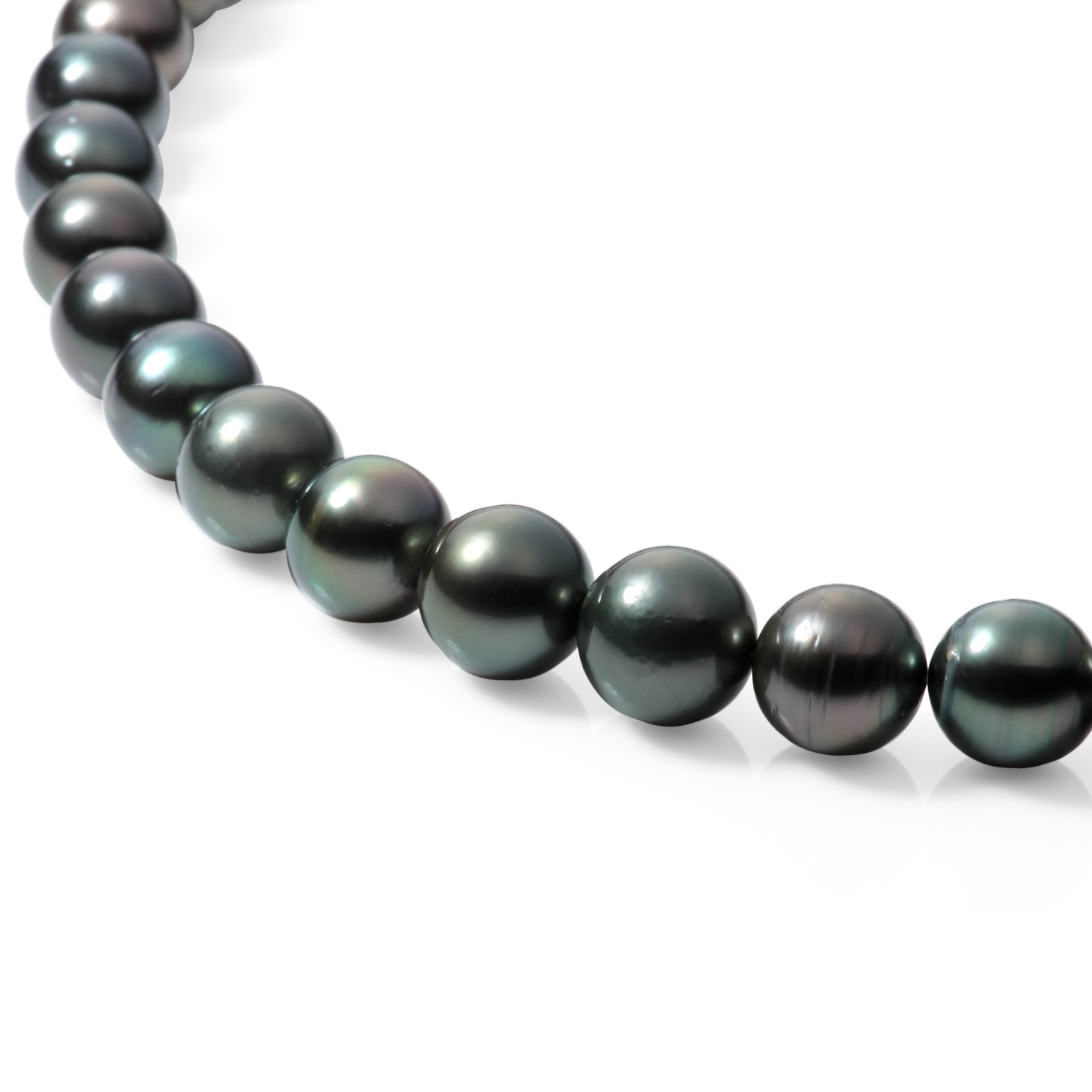 パルミナーレ
シルバー
黒蝶パール
グラデーションネックレス