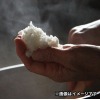 京都与謝野 特別栽培米こしひかり 喜左衛門