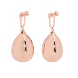 ローザリュール
シャイニー＆グロッシー
ナゲットパーツ
スウィングイヤリン…