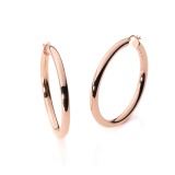 ローザリュール
シャイニー
フープピアス