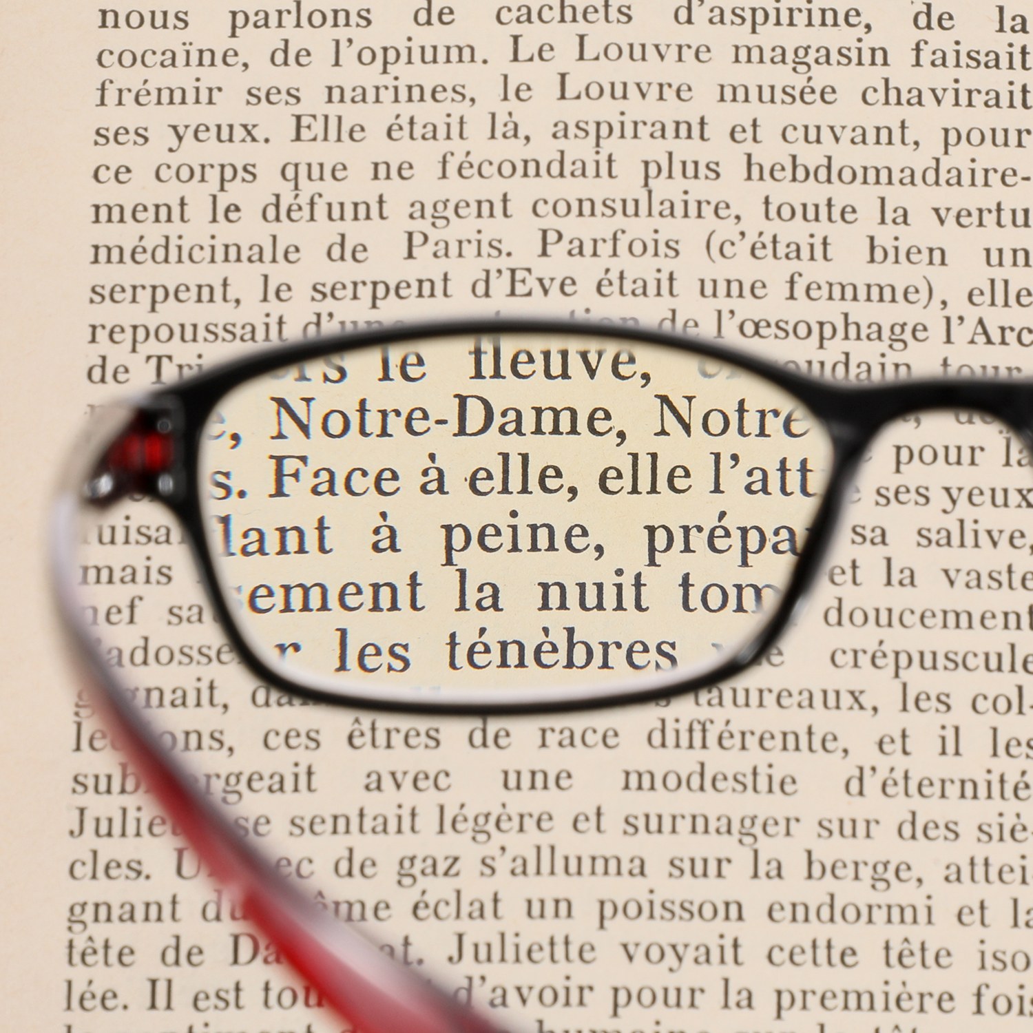 首掛けできる 便利なルーペ “カカル”２本組