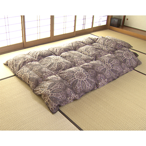 ＜セミダブル＞ 西川 フランス産ダック 防ダニ羽毛掛けふとん 