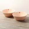 イッタラ ティーマ １５ｃｍボウル　ペア