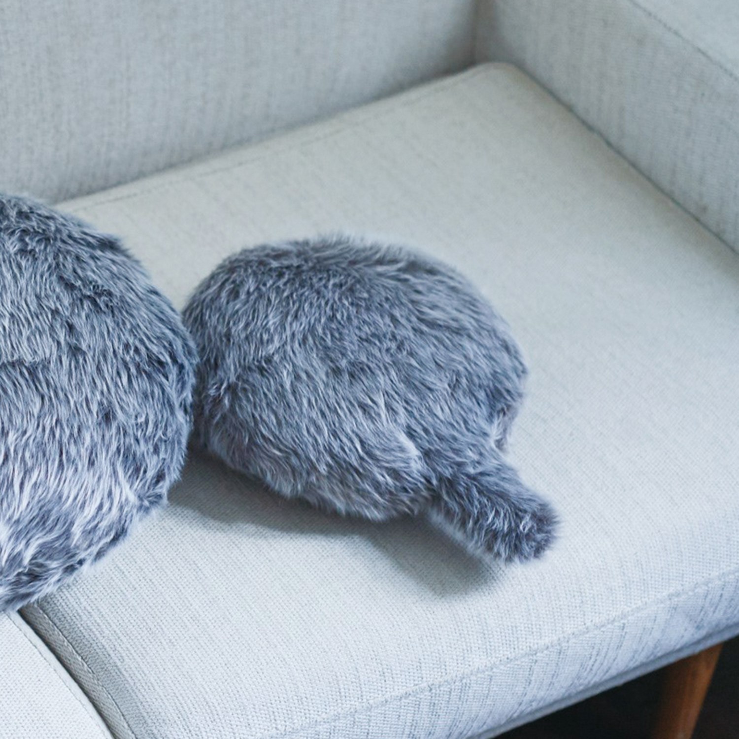 しっぽクッション Ｐｅｔｉｔ　Ｑｏｏｂｏ （プチクーボ）