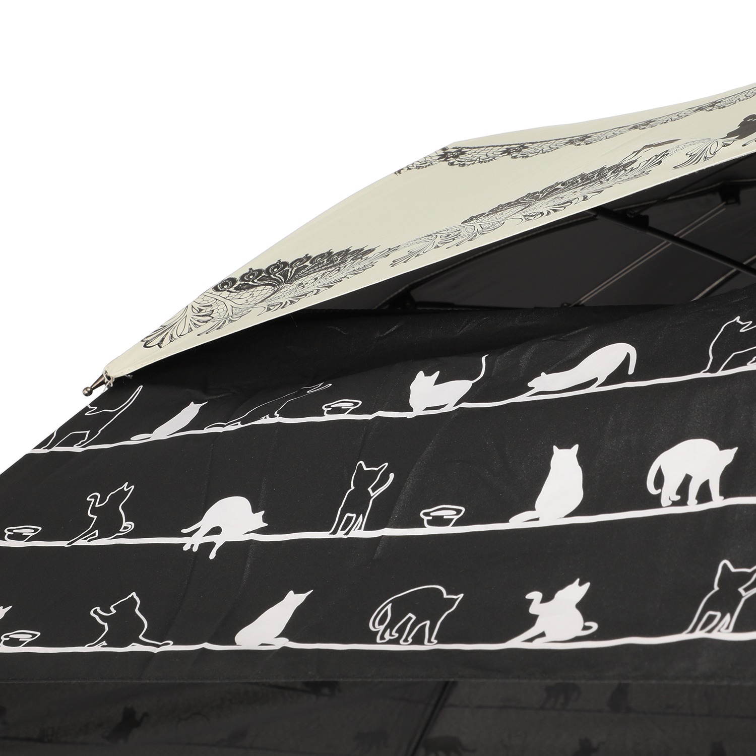 小さい傘が大きく広がる！ ワイドアップ傘