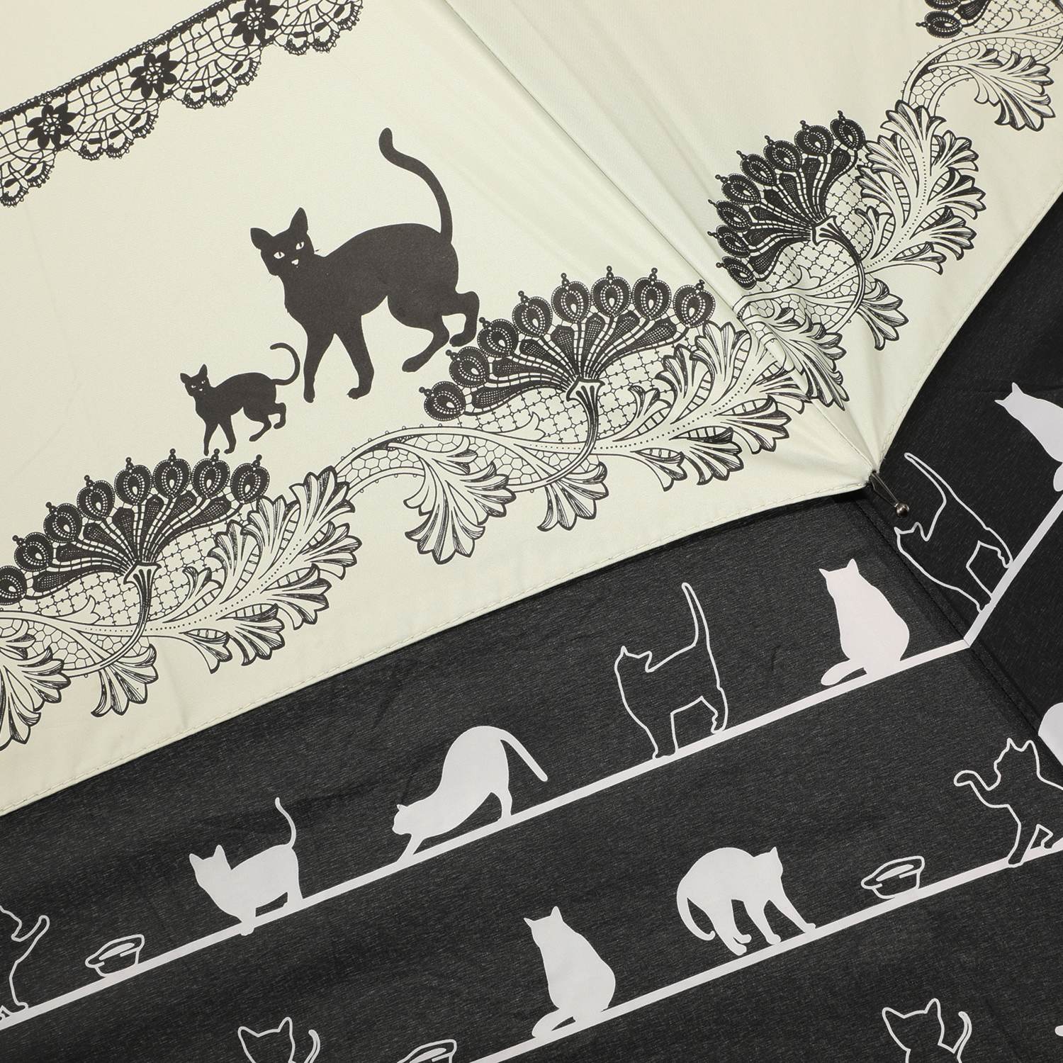 小さい傘が大きく広がる！ ワイドアップ傘