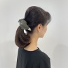 ワイヤーヘアーポニー