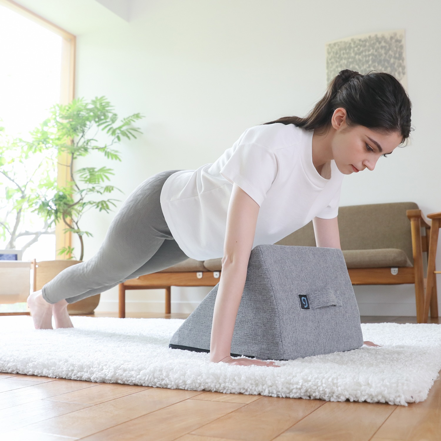 ジムテリア お部屋に溶け込む 腹筋エクササイズ クッション アブデルタ