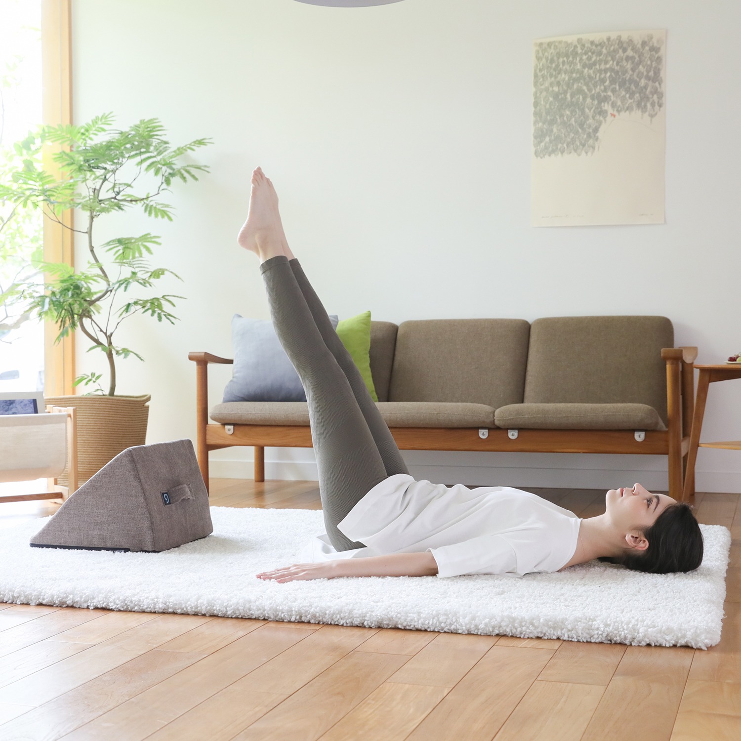 ジムテリア お部屋に溶け込む 腹筋エクササイズ クッション アブデルタ