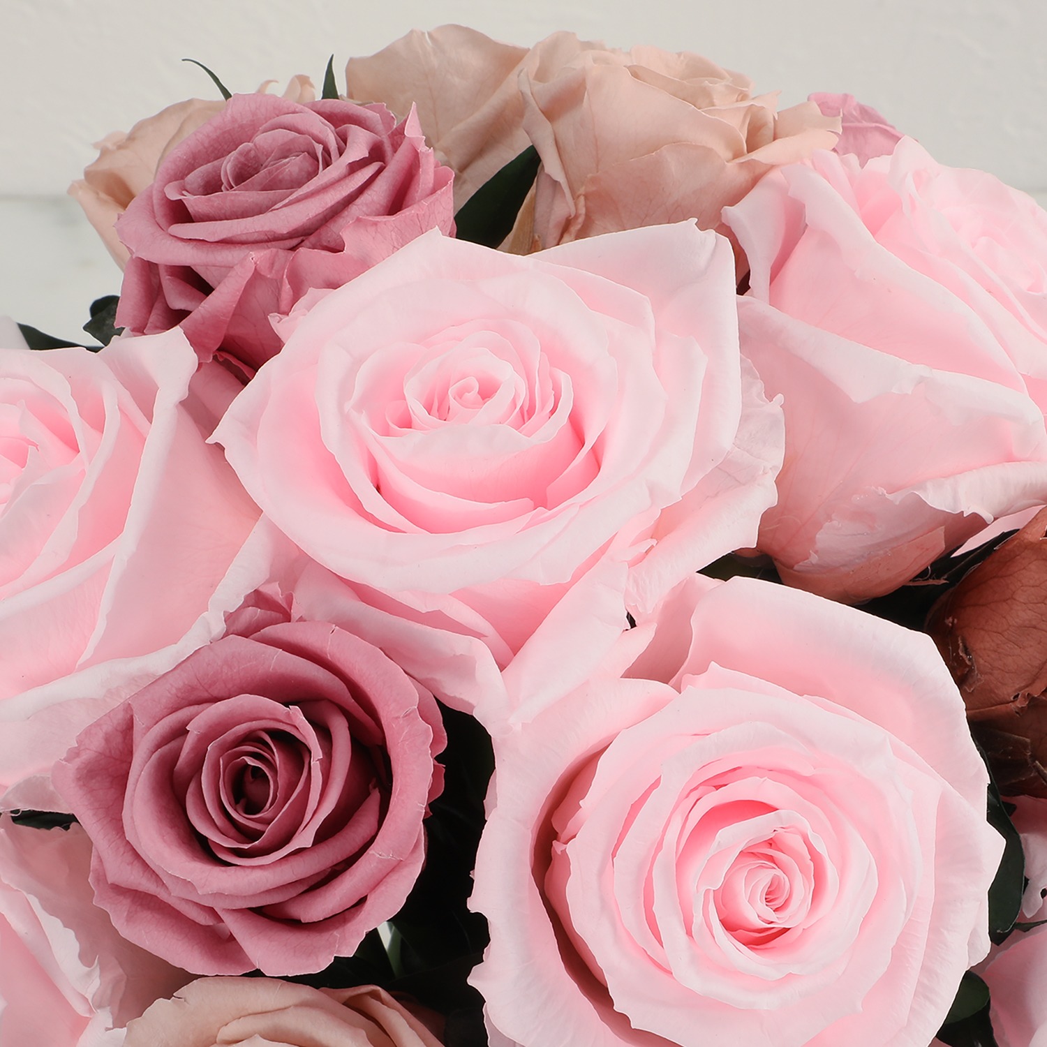 ＧＩＮＺＡ ＳＯＢＩ　ＦＬＯＷＥＲＳ プリザーブドフラワー “プルミエ”