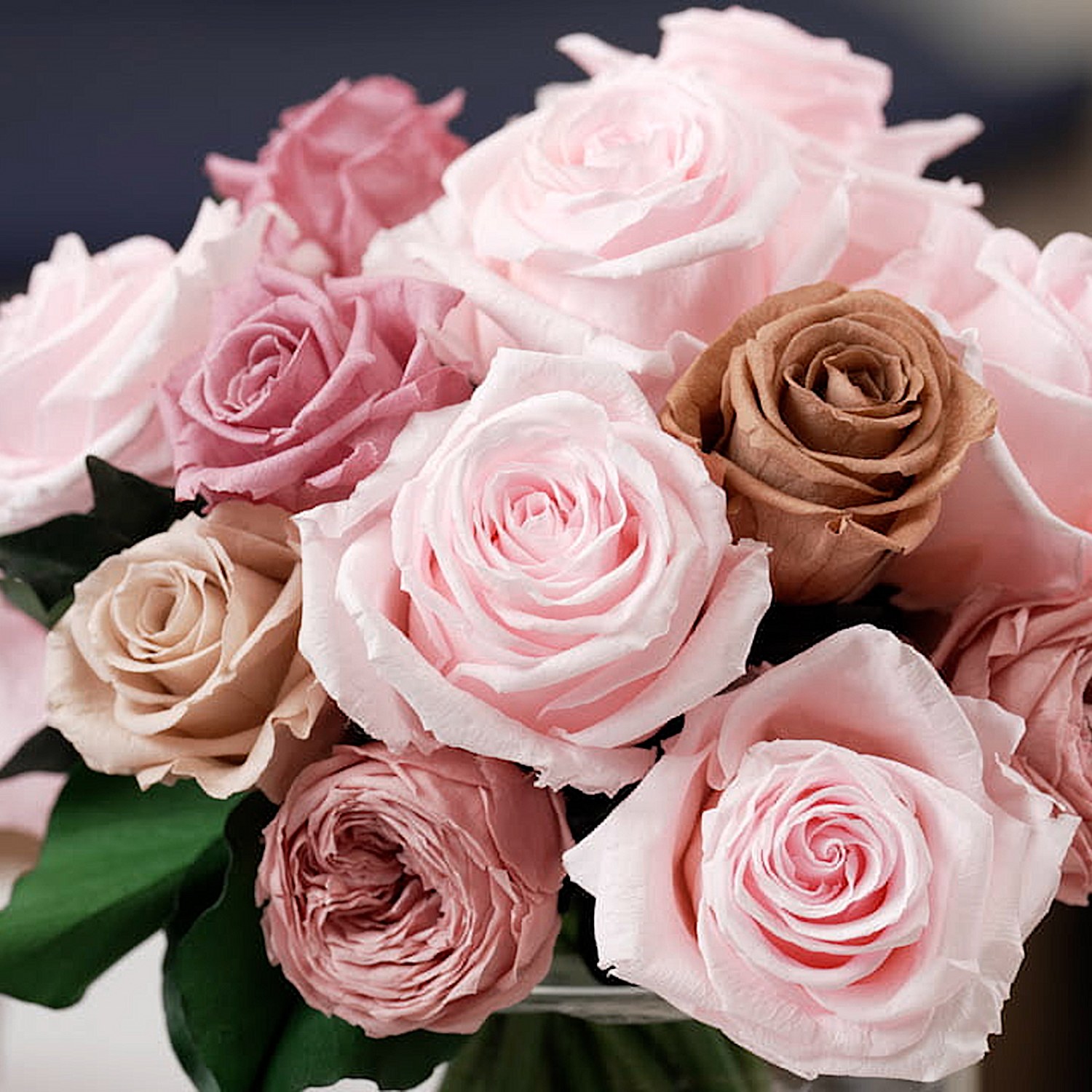 ＧＩＮＺＡ ＳＯＢＩ　ＦＬＯＷＥＲＳ プリザーブドフラワー “プルミエ”