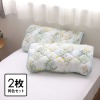 西川 ひんやりやわらか レーヨン消臭ピローパッド 同色２枚組