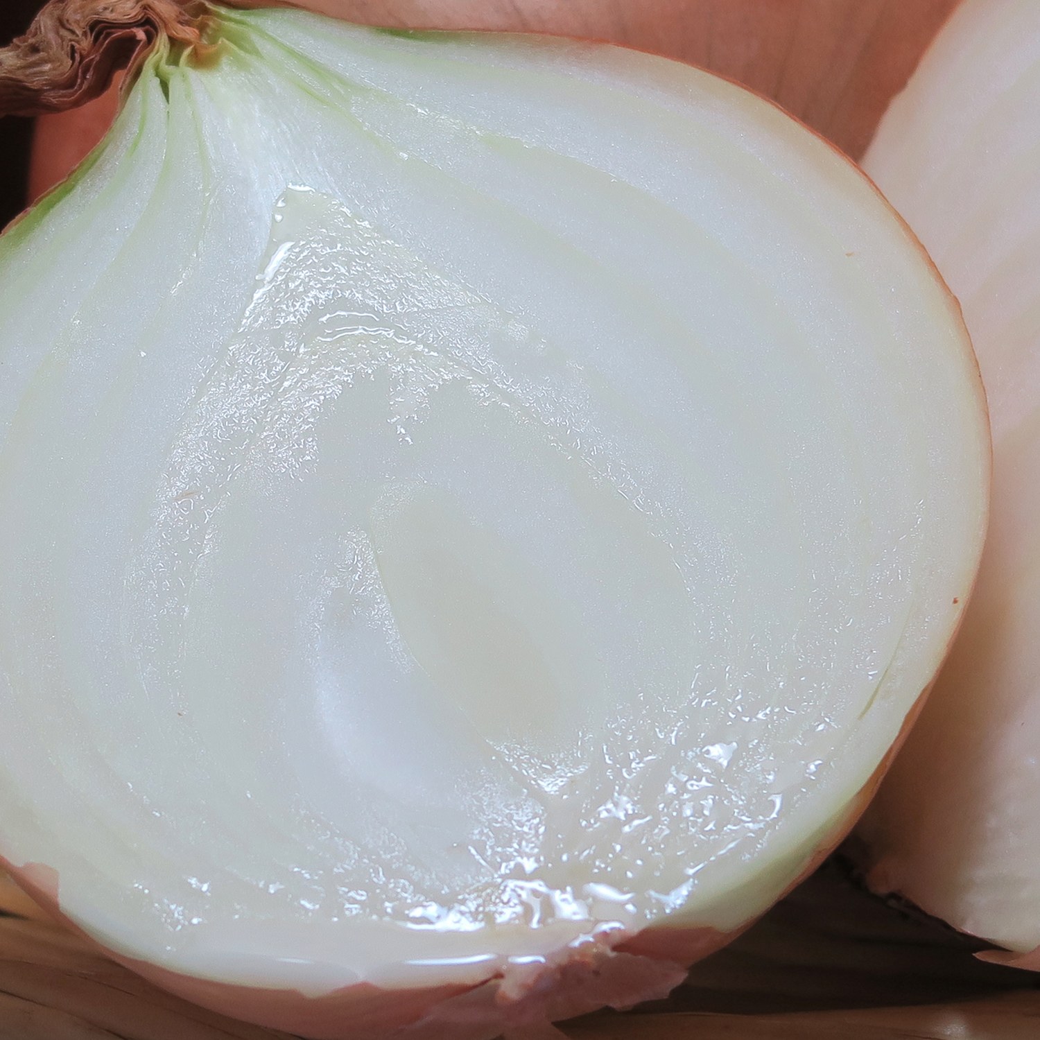 曽根さん伝承！ 淡路ゆうき耕房の 淡路島産たまねぎ ＜８ｋｇ＞