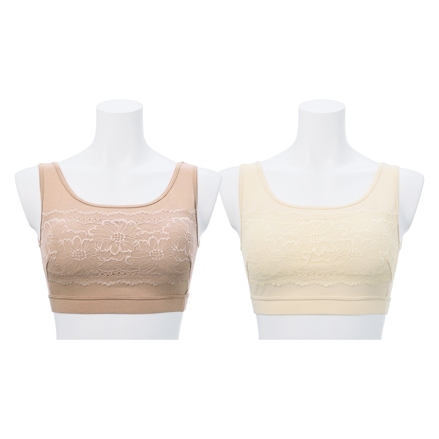 きれいになろう！ 制菌加工 モダール混ベア天竺 ブラトップ２枚セット