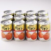 ＜１２缶セット＞甘くてジューシー！ 熊本県産　デコポン缶詰 