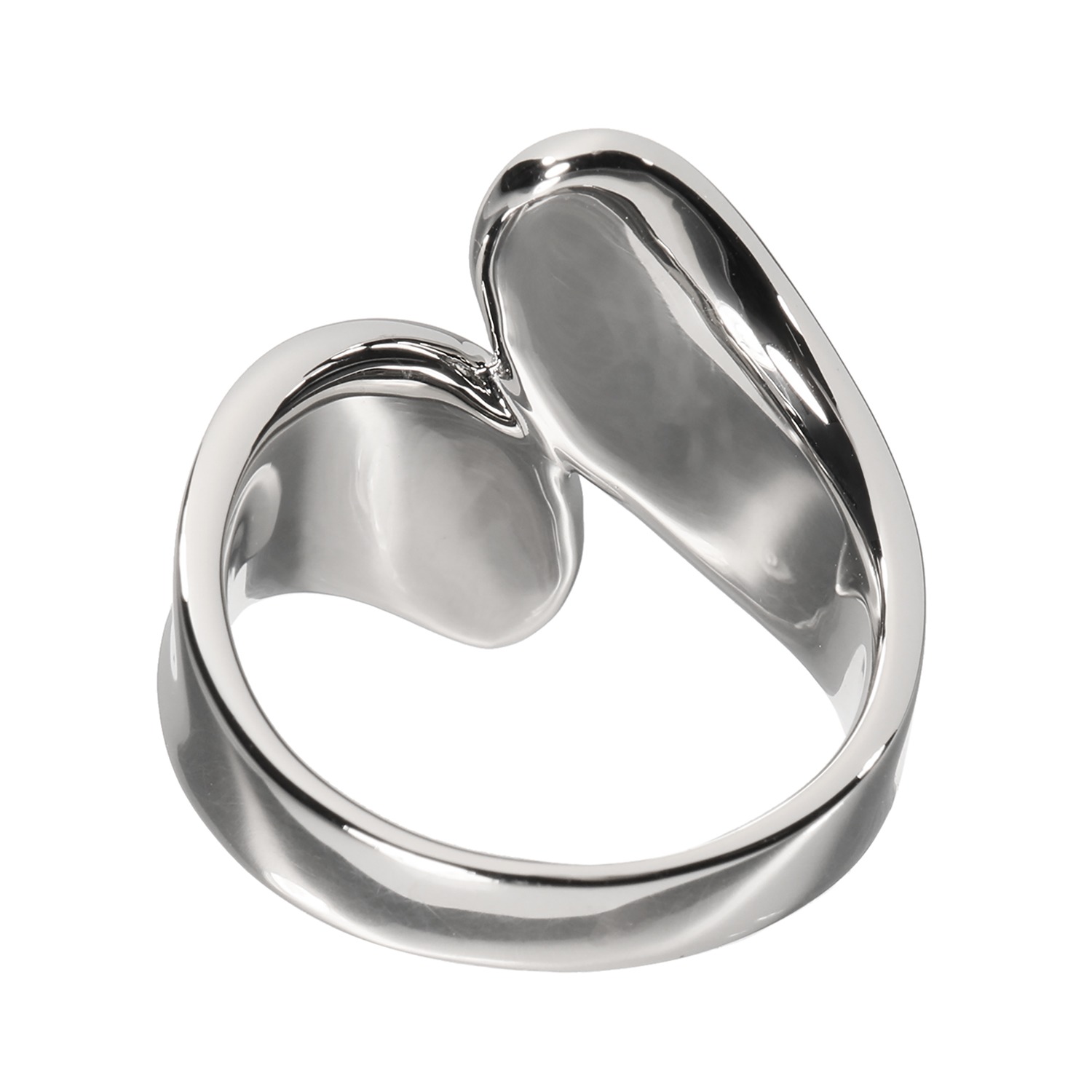 ステングレイス サージカルステンレス ダブルウェーブ デザインリング