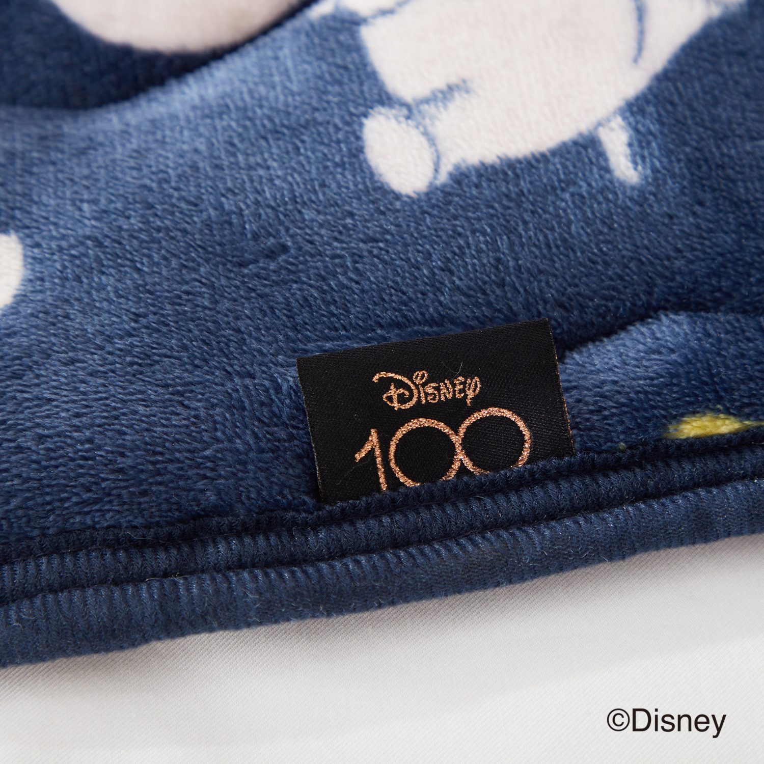 ディズニー 創立１００周年モデル 名作キャラクター大集合！ モコモコ暖か寝具 ３点セット＜シングル＞
