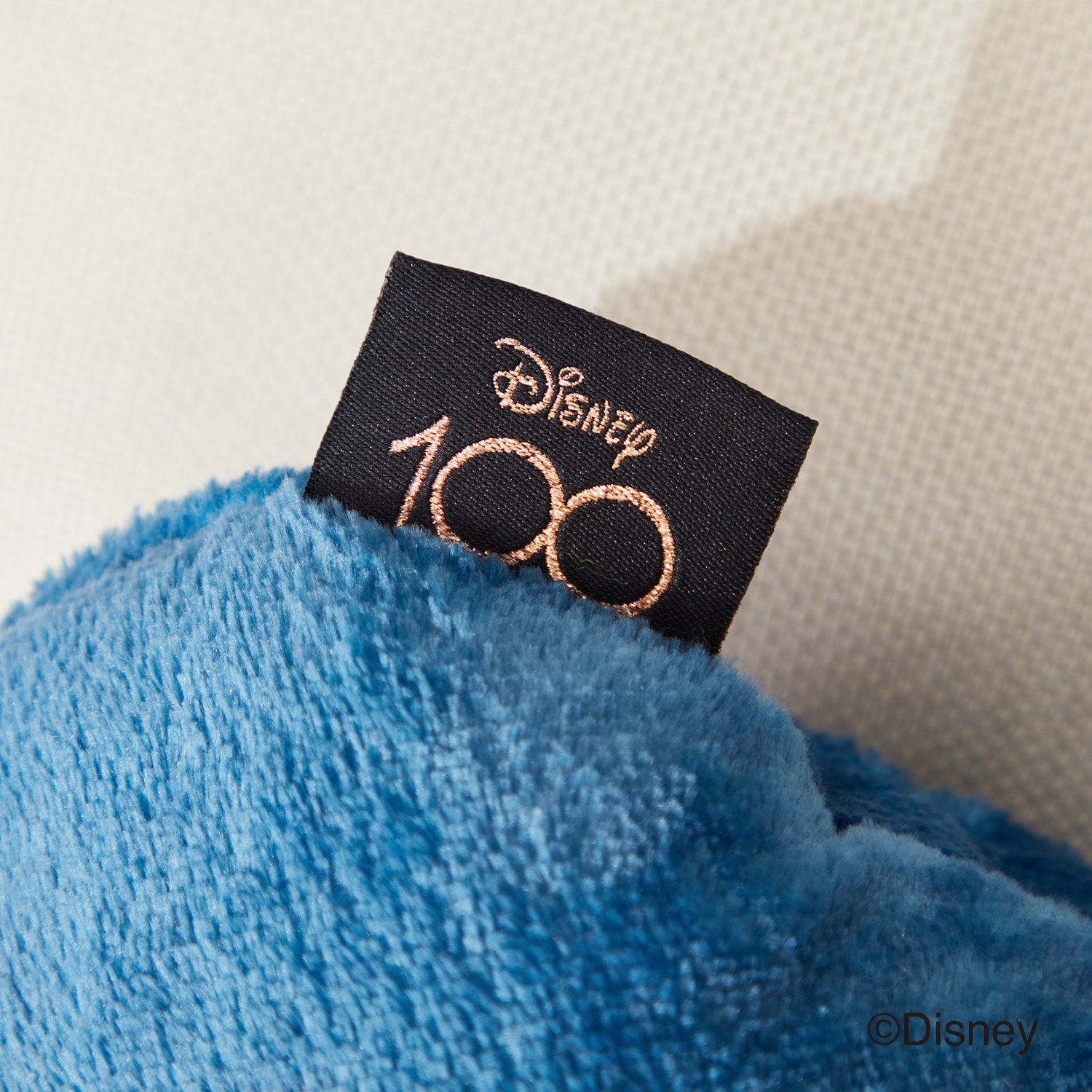 ディズニー 創立１００周年モデル 名作キャラクター大集合！ クッションにもなる ハーフブランケット