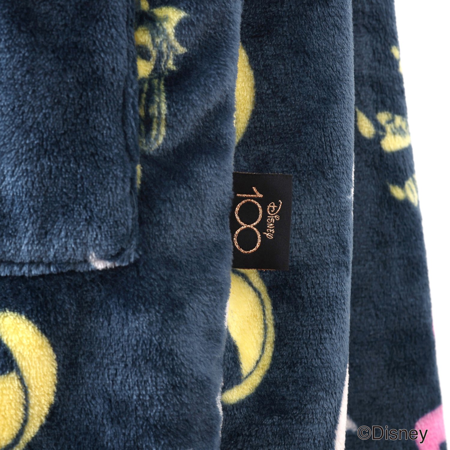 ディズニー 創立１００周年モデル 名作キャラクター大集合！ モコモコ暖か着る毛布