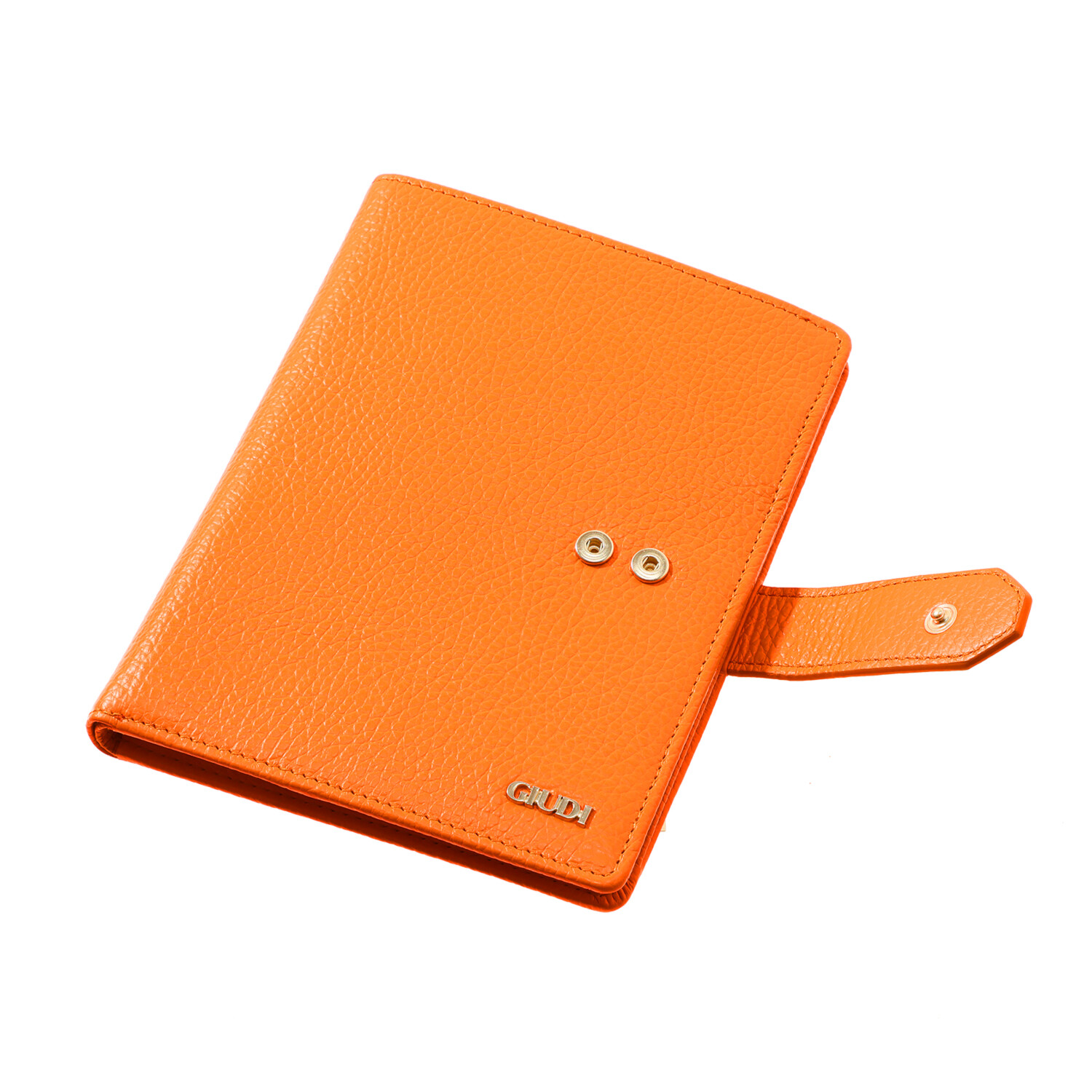 ジウディ ＜イタリア製＞ マストロット社製牛革 おくすり手帳ホルダー