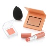 ブリリアージュ 血色感のあるツヤ肌演出！ オレンジ系カラーメイク 特別セット