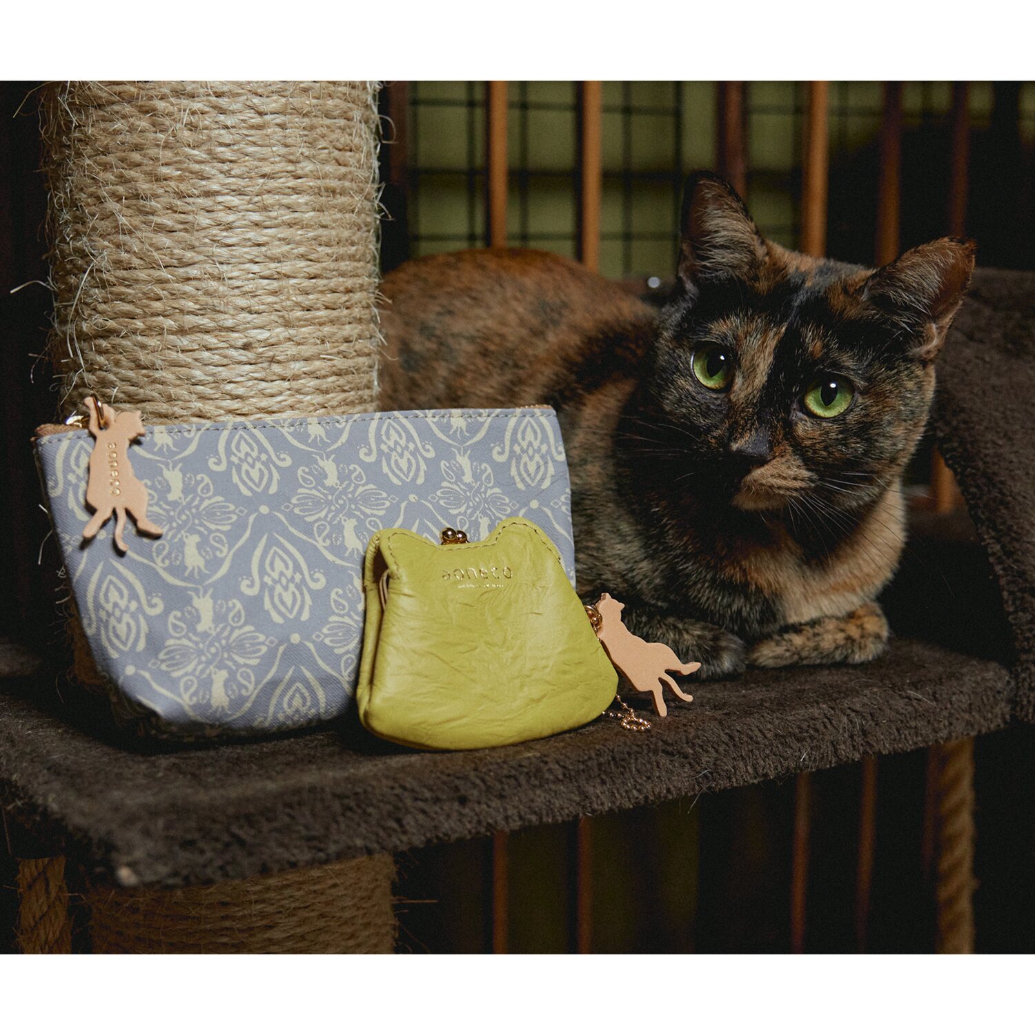 アオネコ がま口マイクロケース＆ ポーチＳ ＜保護ネコ寄付チケット 　７７０円分付＞