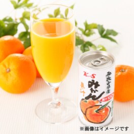和歌山県産 みかん果汁１００％ ストレートジュース ＜６０缶お買い得セット＞