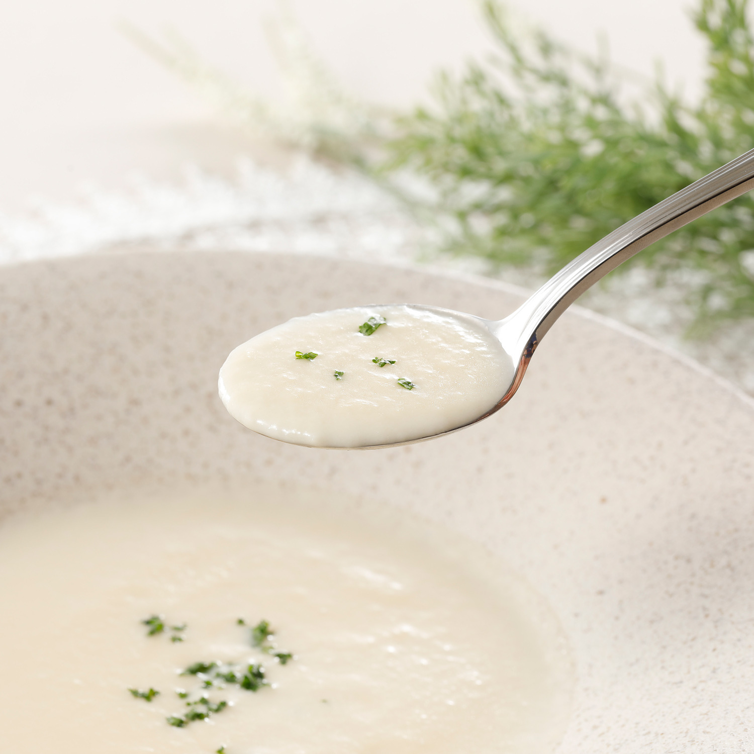 ミッシェルナカジマ ホワイトアスパラガスの ポタージュ