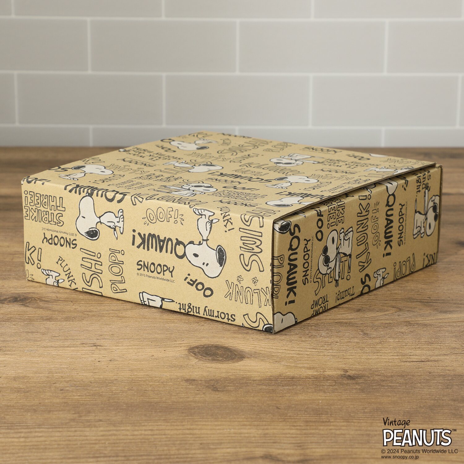 スヌーピー 日本製 パスタプレートセット