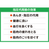 足裏ケア、ストレッチ、 トレーニングができる！ 手のひらサイズの 指圧代用器 アーチドクターふみふみ 滑り止めスポンジ付