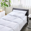 プリマロフト１２００ しっかり暖か＆ ふんわり柔らか！ 洗える掛けふとん ＜シングル＞