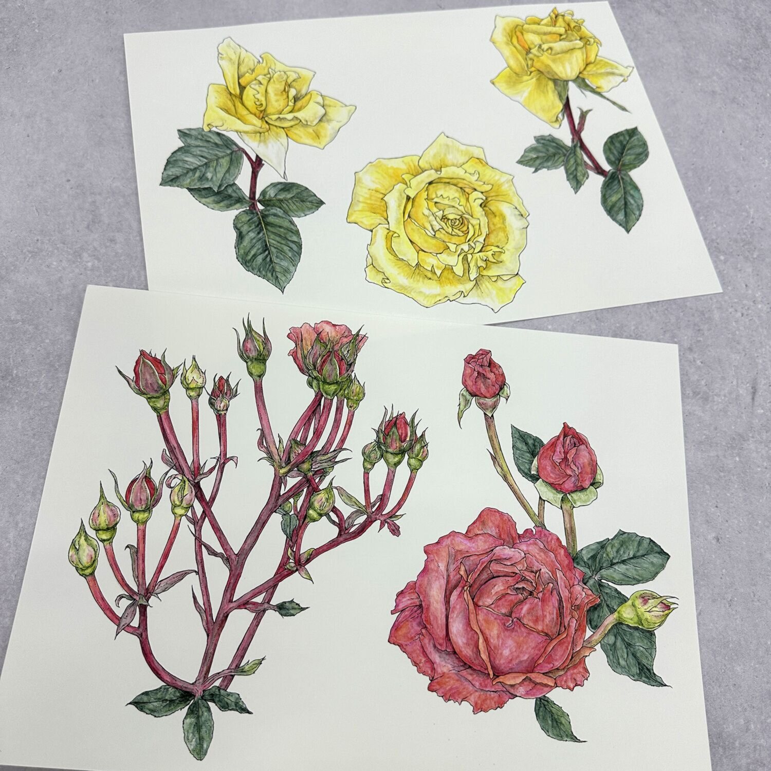 ｓａｍｐｏ ＜日本製＞ 水彩画アート “ノスタルジックマナー” ストラップ付トートバッグ